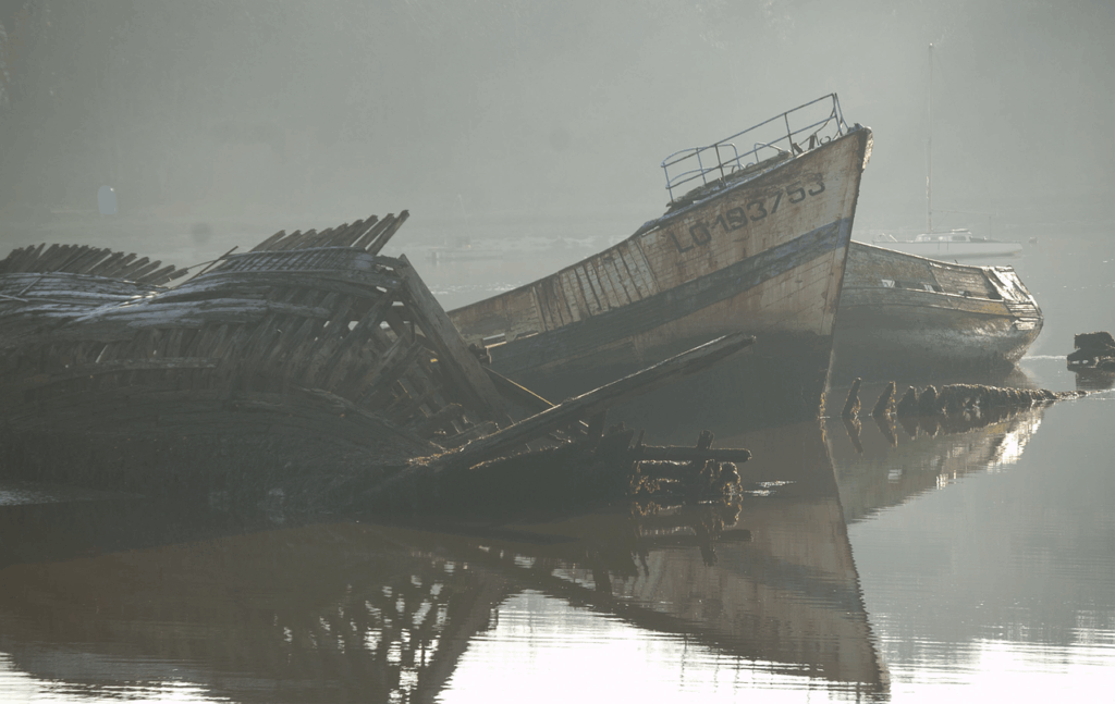 再婚における婚活失敗の理由とは何ですか？