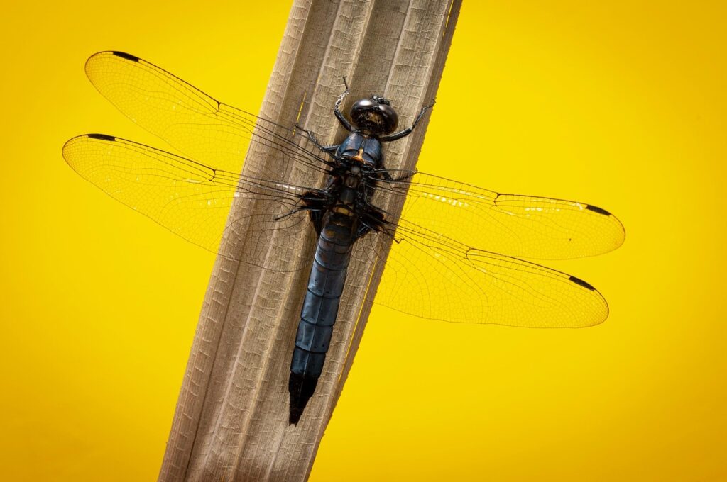 再婚を考える人におすすめの婚活初デート場所は？