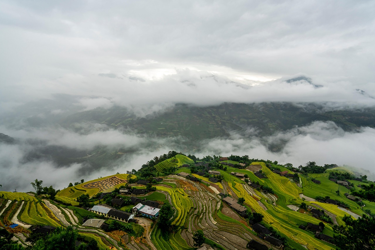 ステップファミリーの婚活サポートにはどんなサービスがある？