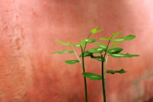 再婚に向けた婚活でのプロフィール写真の服装はどう選ぶべき？