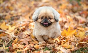 離婚歴ありの人が再婚で成功する例とは？