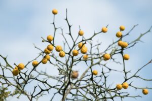 婚活で見切りをつけるべき時とはいつなのか？