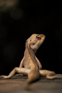 再婚のためのプロフィールの例文はどのようなものがある？