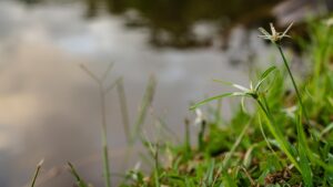 婚活で使える自己PRの例文は？