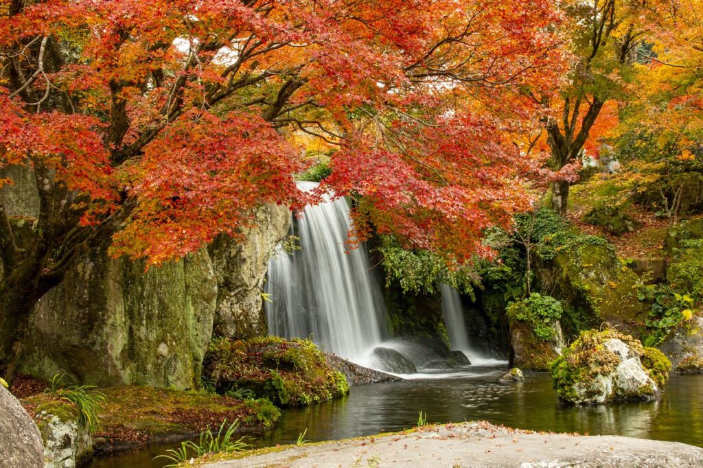 婚活におけるコスパを最大化する方法は？