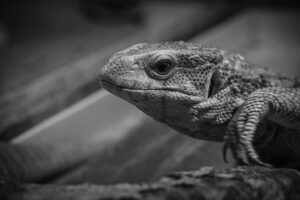 婚活アプリでの失敗を回避するためのポイントは？