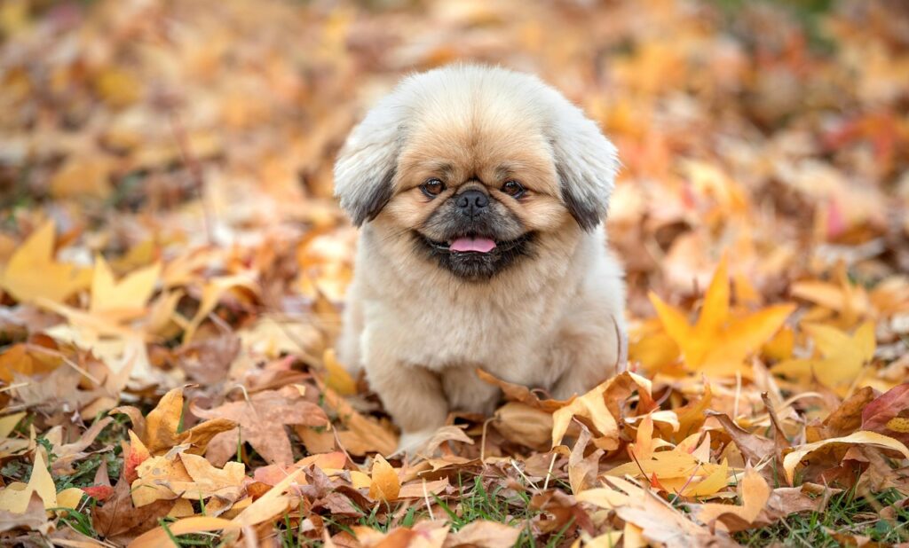 忙しい人のための婚活成功法とは？