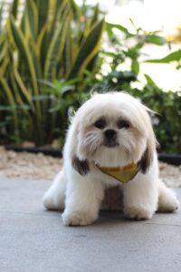 交際はどれくらいの期間が理想的なのか？