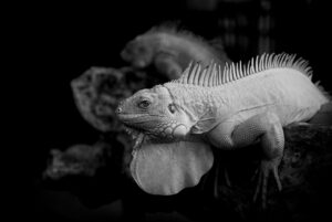 会話が続かない問題を解決するためのヒントは？