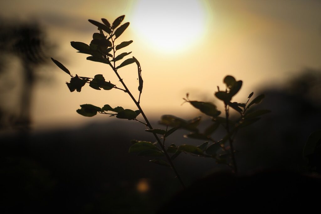 再婚は今からでも遅くない？