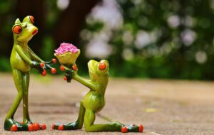 再婚を考えるあなたに最適な婚活カウンセリングとは？