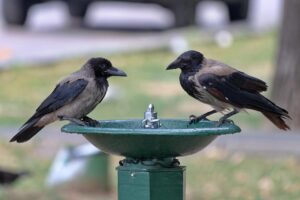 バツイチの婚活は今すぐ始めるべきか？